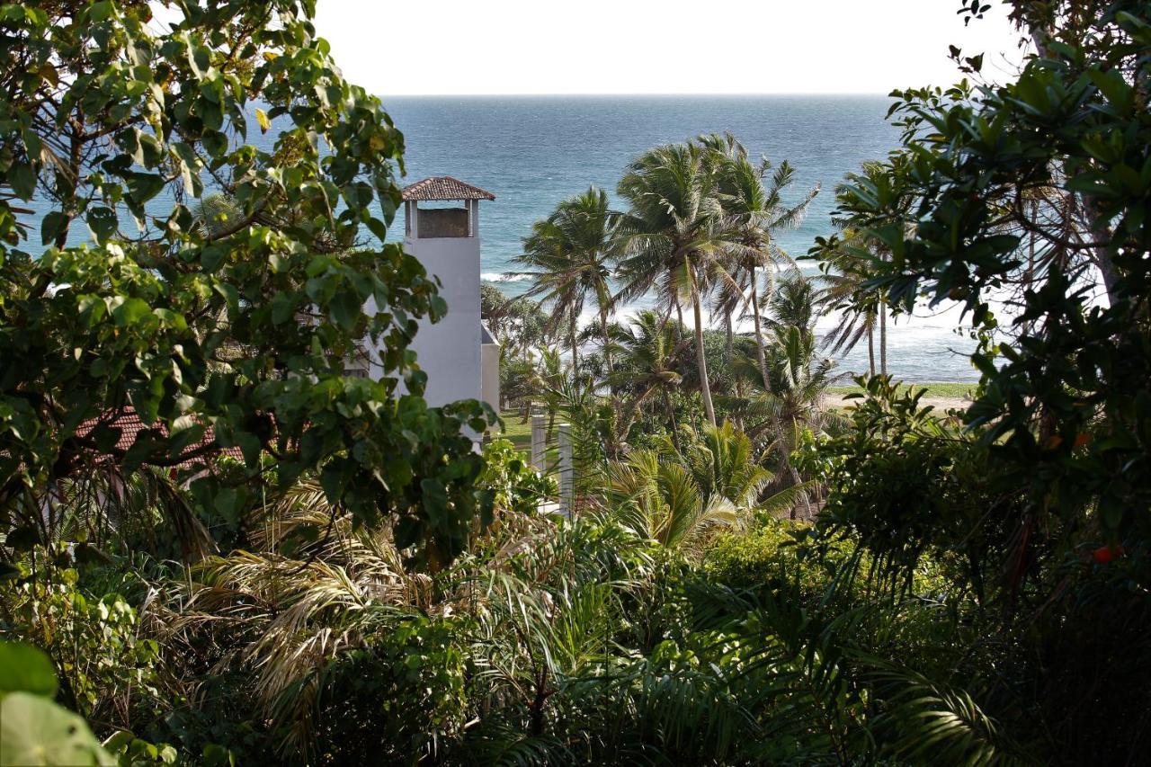 Sky Mountain Cafe With Seaview Bed and Breakfast Weligama Εξωτερικό φωτογραφία